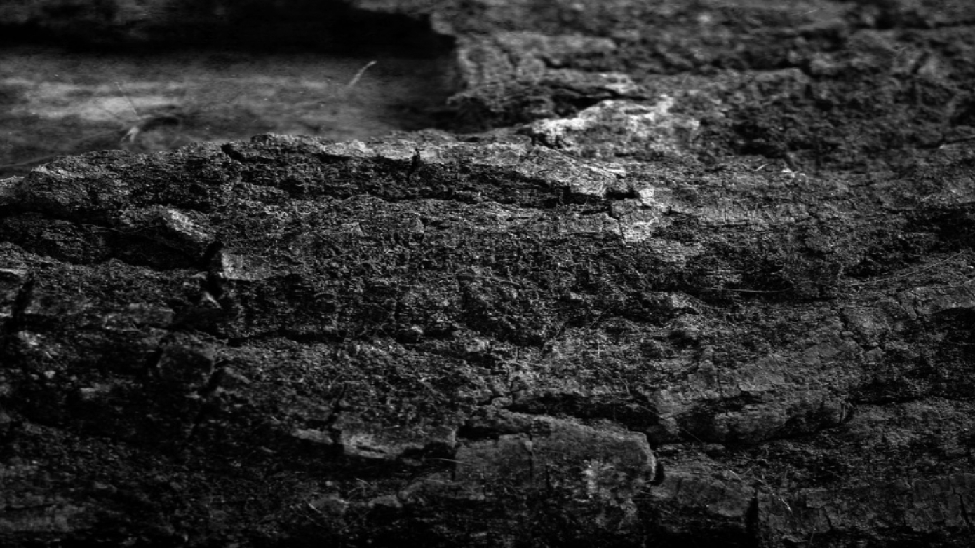 AFTL (LU) & Quiet Flynt (LU)