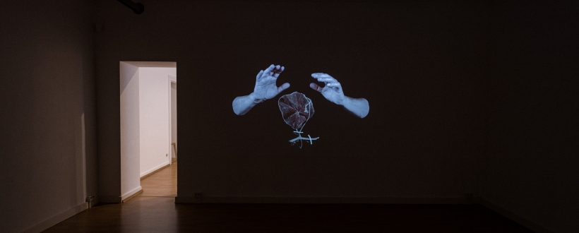 Justine Blau (LU) & John Herman (DE)