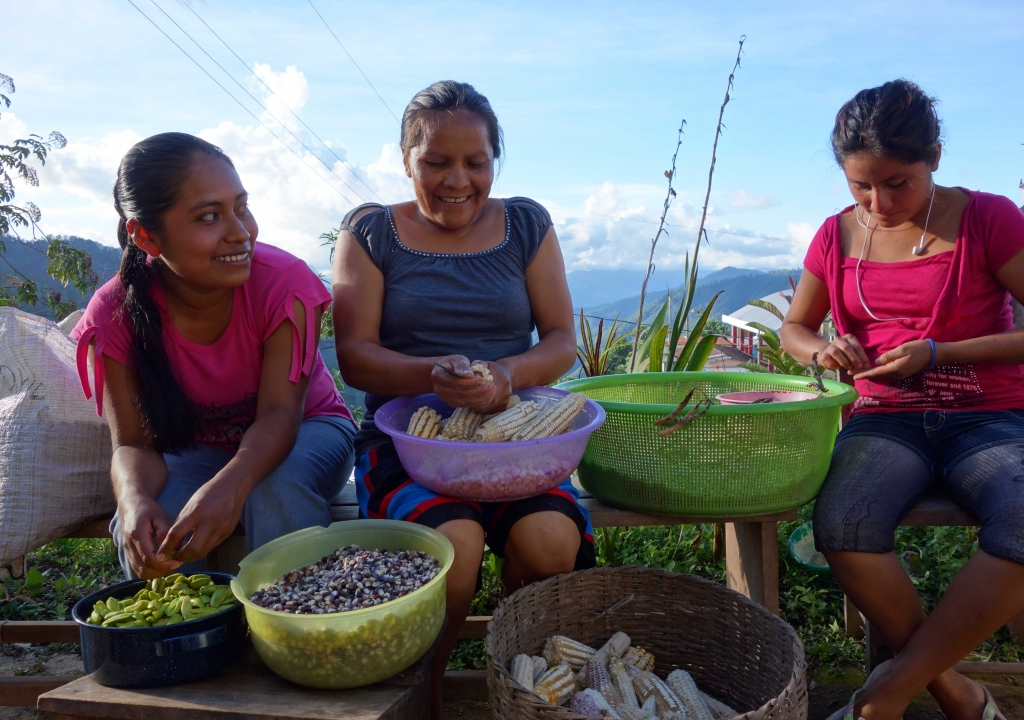 “SEED : The Untold Story”