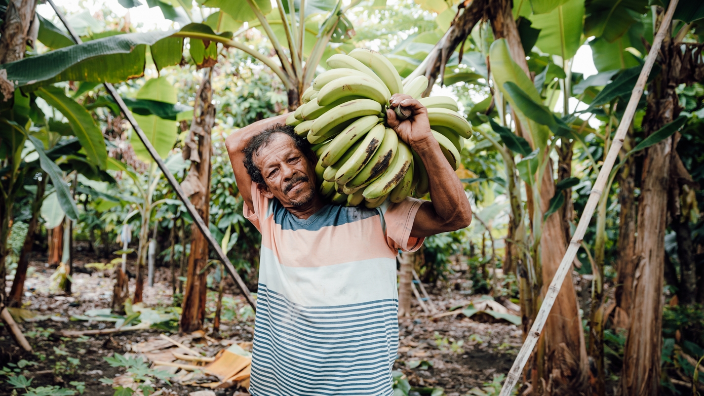 LES MAUX DE NOTRE ALIMENTATION
