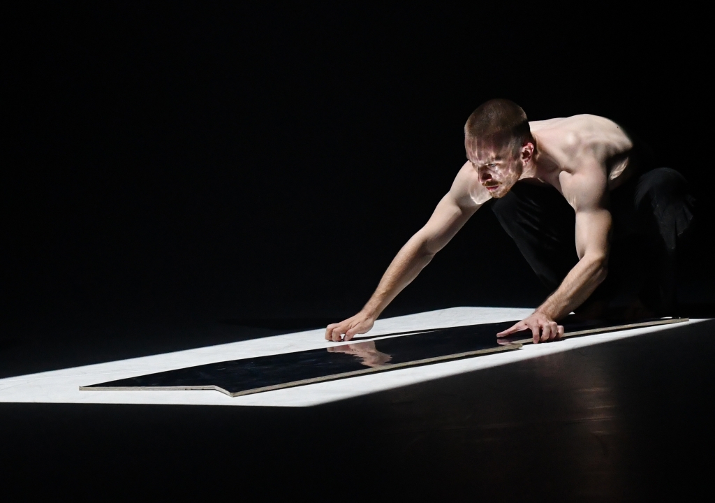 "The Blind Narcissist"