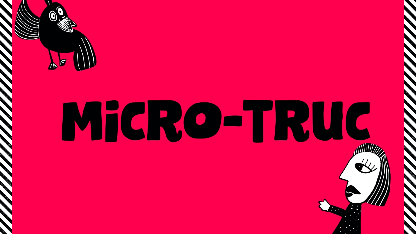 MICRO-TRUC II