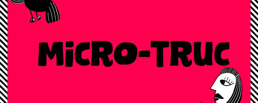 MICRO-TRUC II