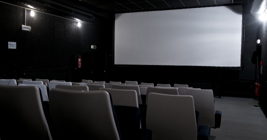 Du cinéma en novembre !