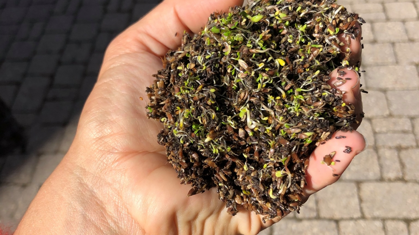 "FERAL" de Justine Blau