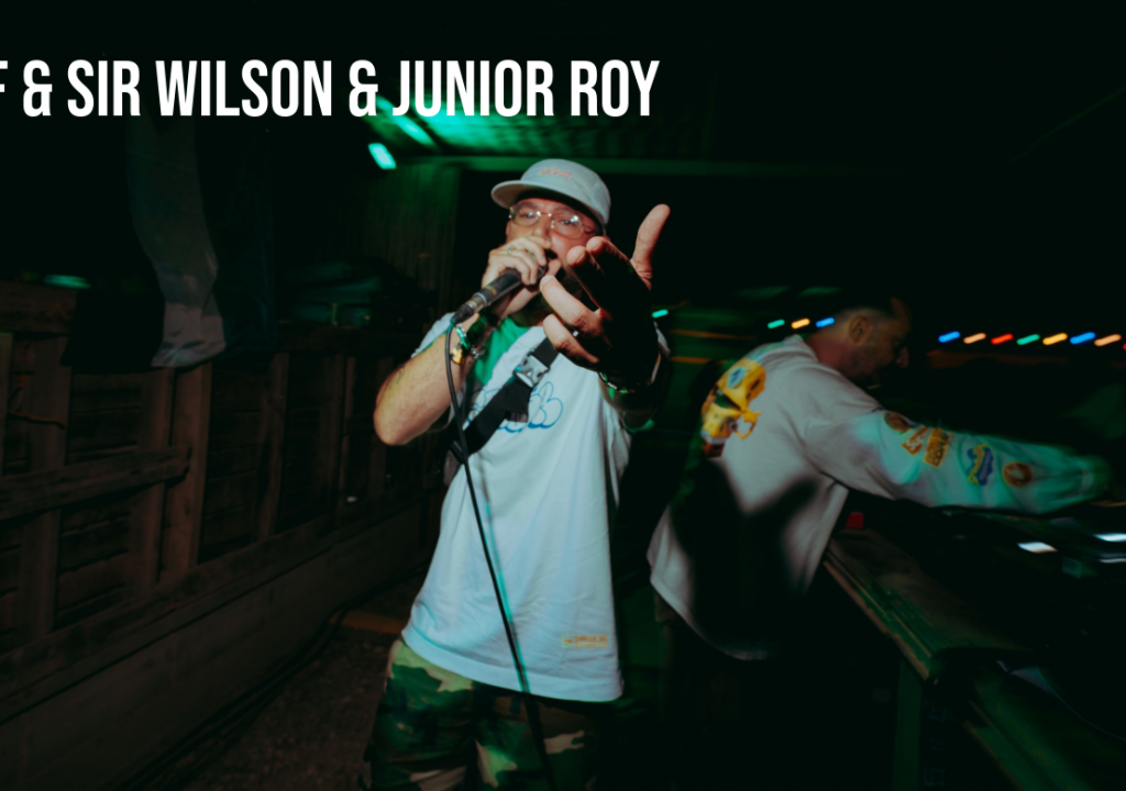 Little Lion Sound + O.B.F. + Sumac Dub + Jahbotai Sound system + LXB Monkeys