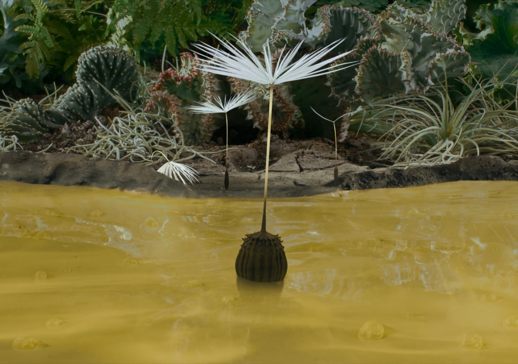 Projection de "Dandelion's Odyssey"