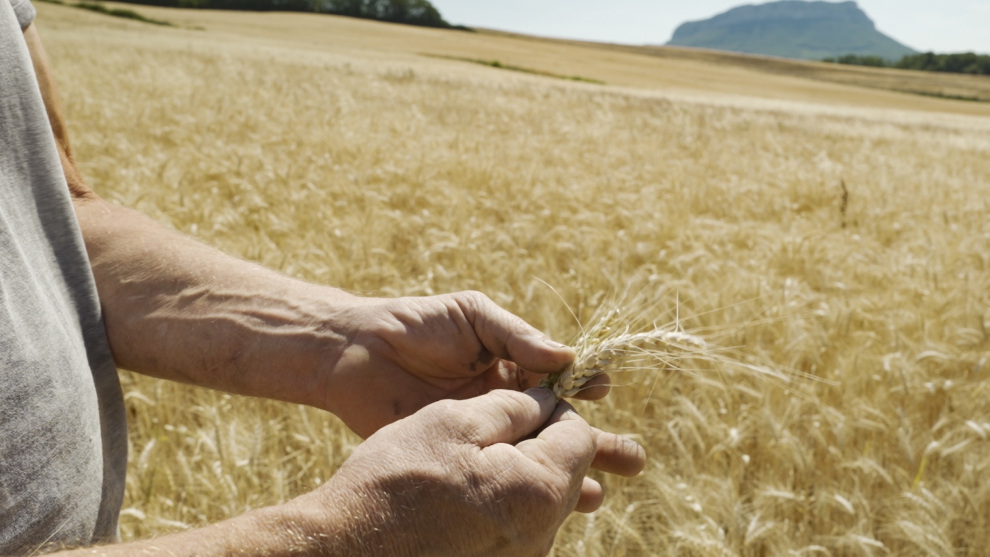 PROJECTION ET DISCUSSION "La théorie du boxeur"