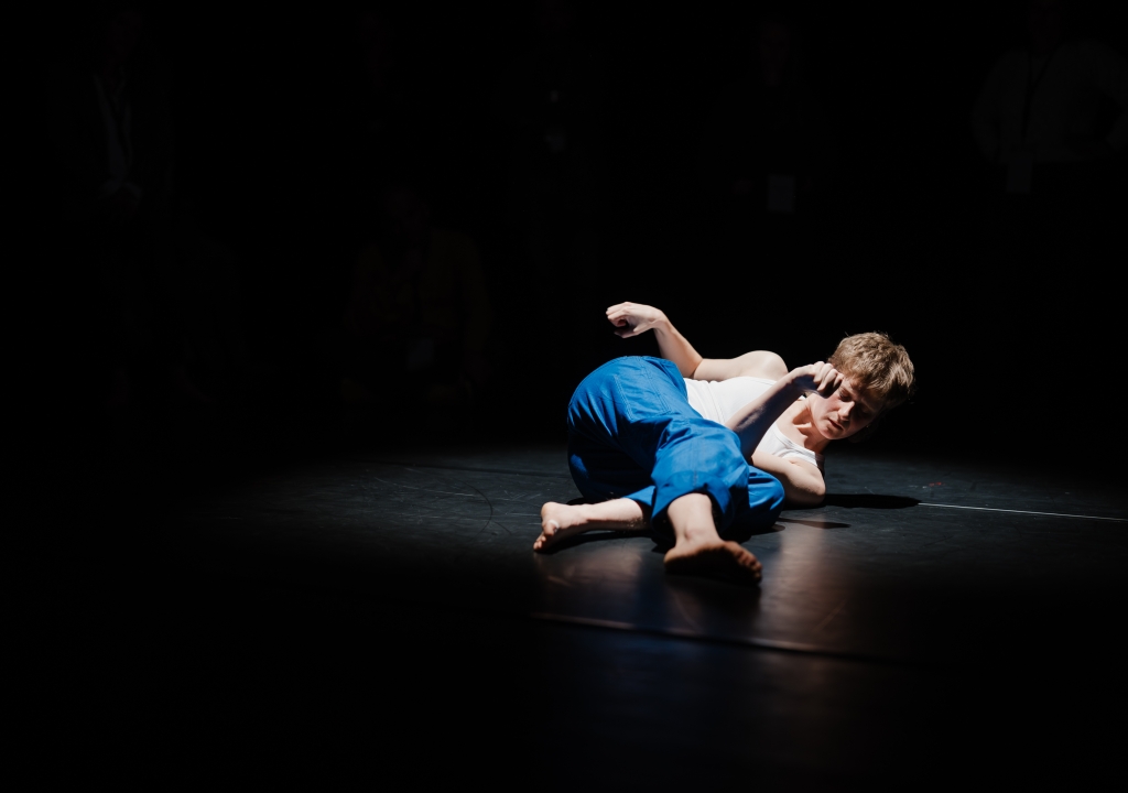 Dissident Brooms - Clio Van Aerde