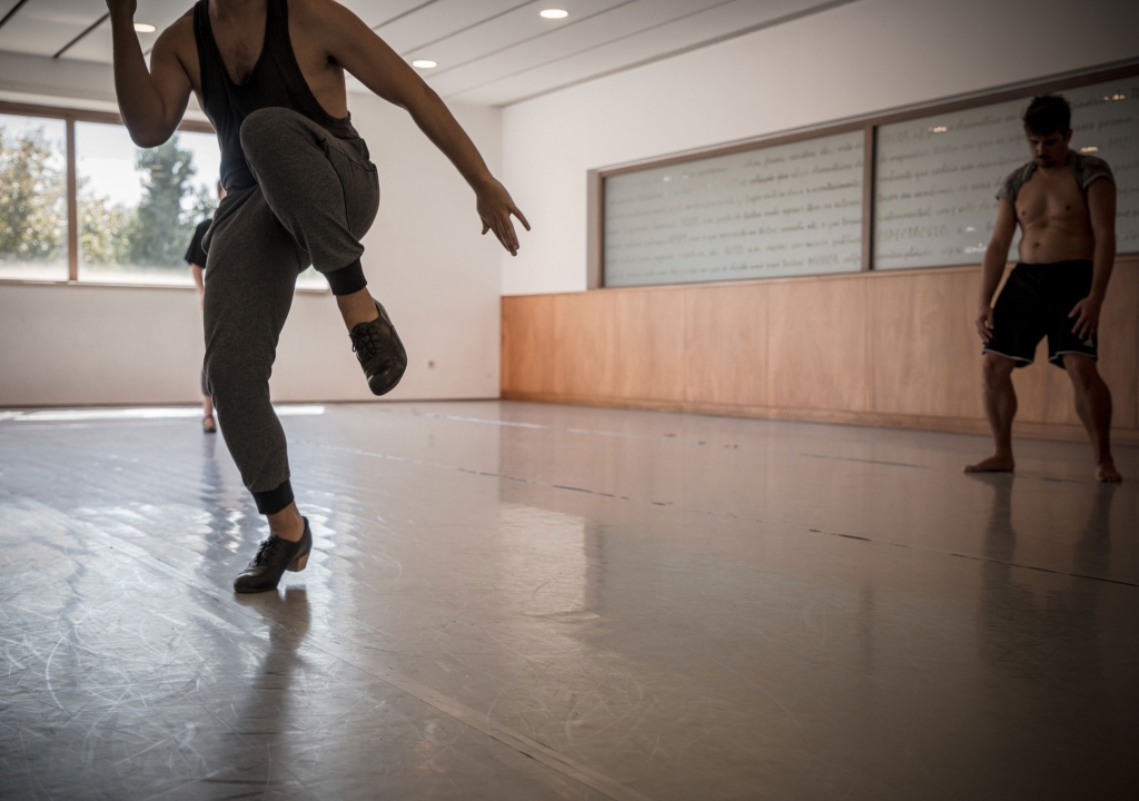 « Salvar a Carmen » - Compagnie Fernando López